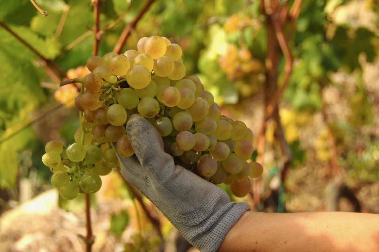 La Casa Del Podere カステッラーロ エクステリア 写真