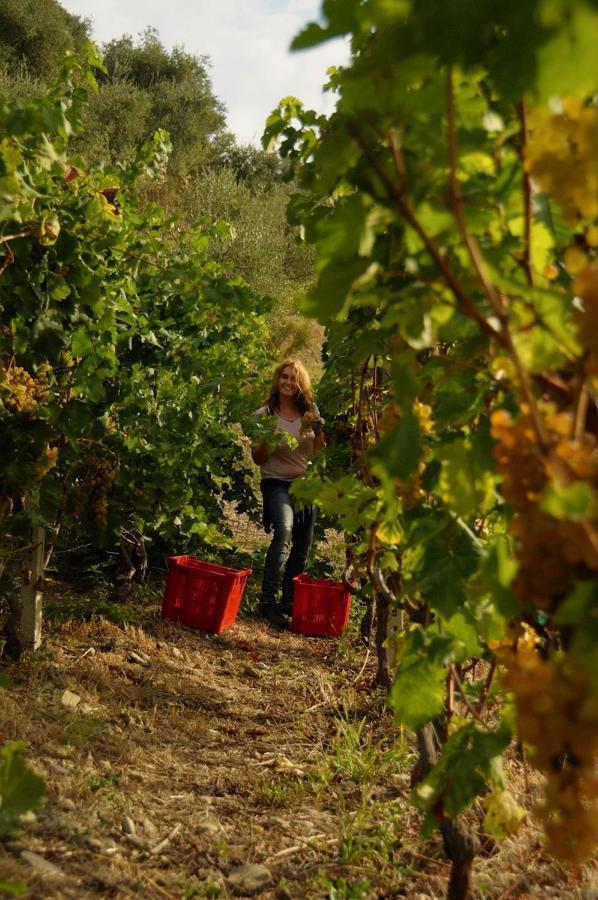 La Casa Del Podere カステッラーロ エクステリア 写真
