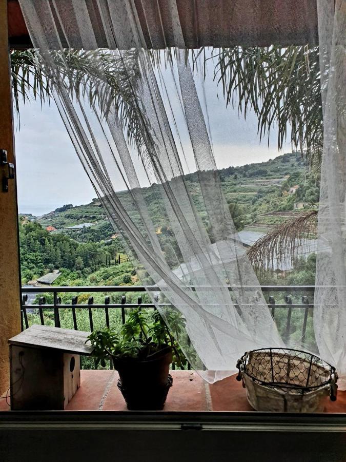 La Casa Del Podere カステッラーロ エクステリア 写真